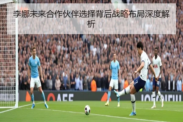 李娜未来合作伙伴选择背后战略布局深度解析