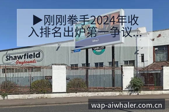 ▶刚刚拳手2024年收入排名出炉第一争议焦点与舆论观察历 - 开云体育