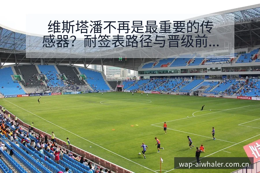 维斯塔潘不再是最重要的传感器？耐签表路径与晋级前景风险观 - 开云体育